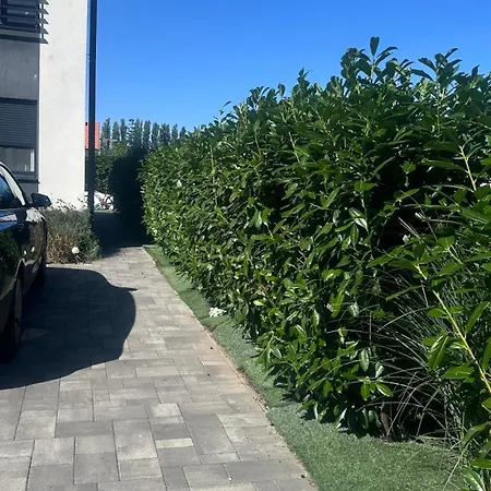 Dream Summer House *