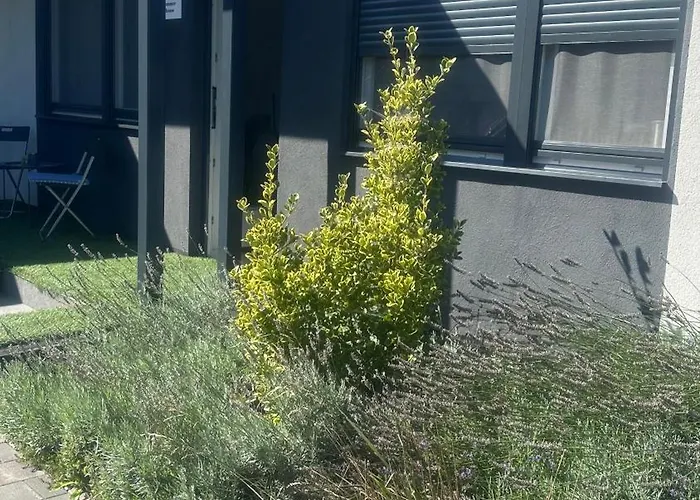 Dream Summer House Holiday home *