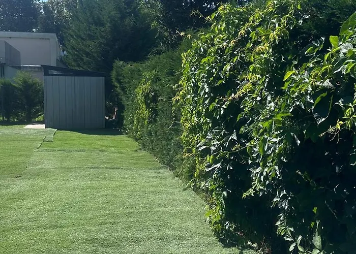 Dream Summer House Holiday home Fonyod